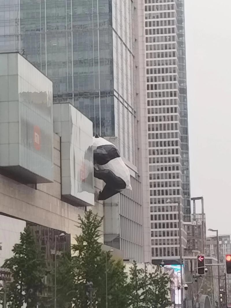 抖音网红熊猫娅黑料视频,_抖音熊猫哑_熊猫娅抖音