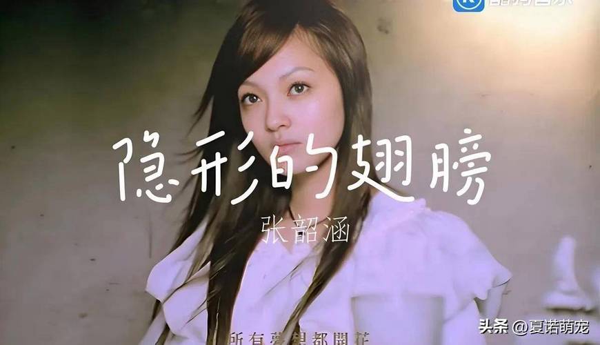 张韶涵要退出娱乐圈了_张韶涵《吐槽大会》自嘲经历_张韶涵励志人生经历