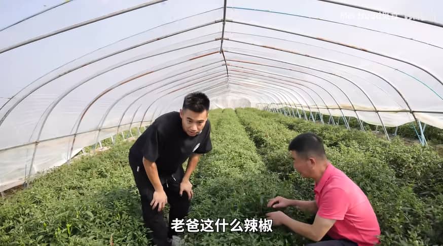 JoeJoe辣神酱_江西特色辣酱品牌_江西黑暗料理网红,